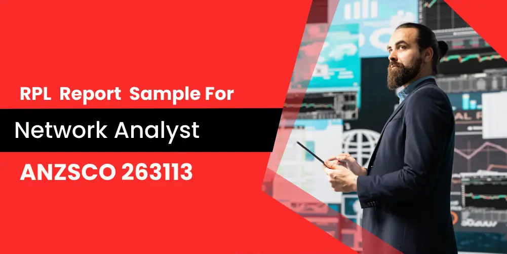 Network Analyst